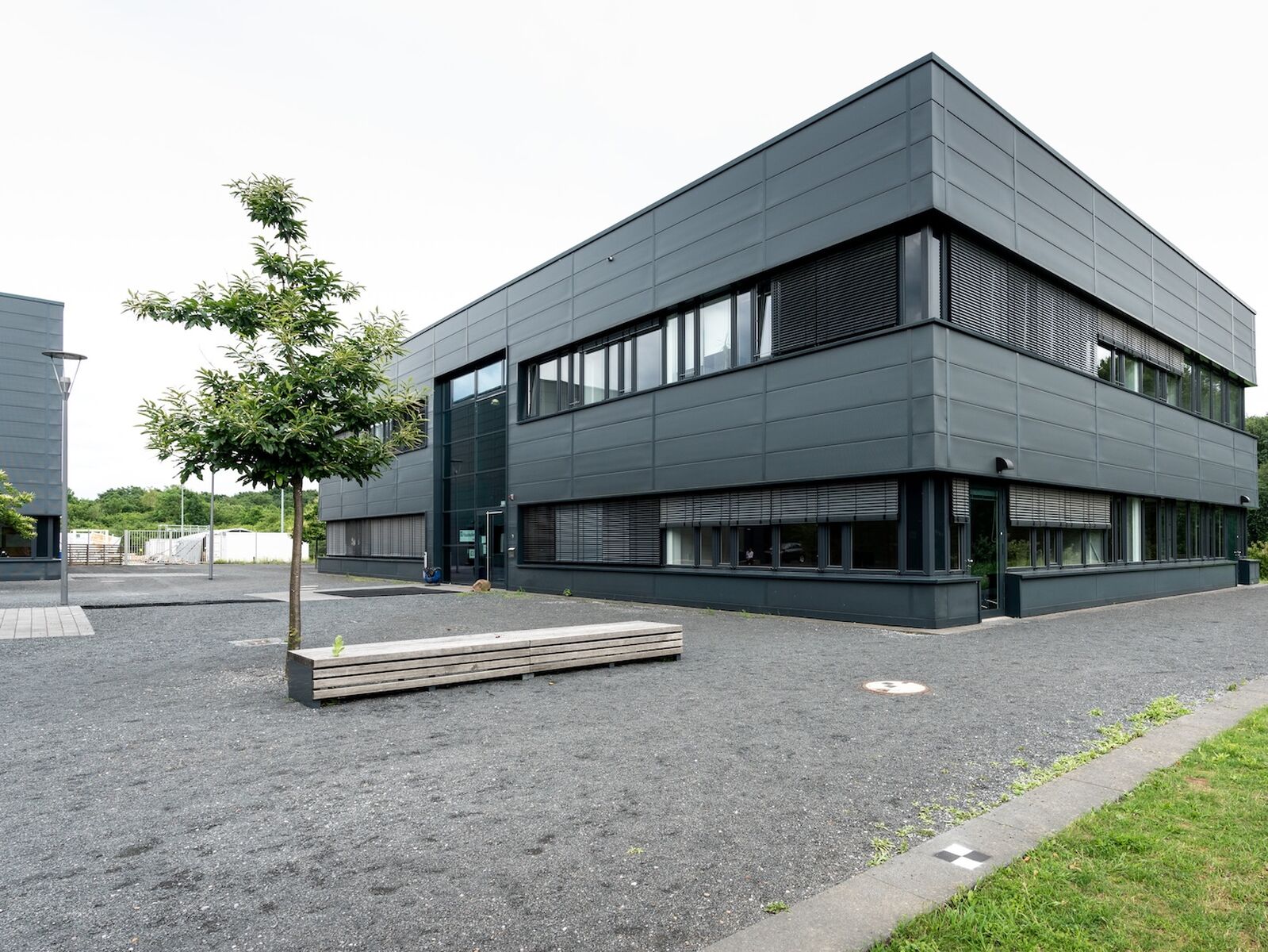 Wasserstoffimporte: Derivate senken Pipelinekosten