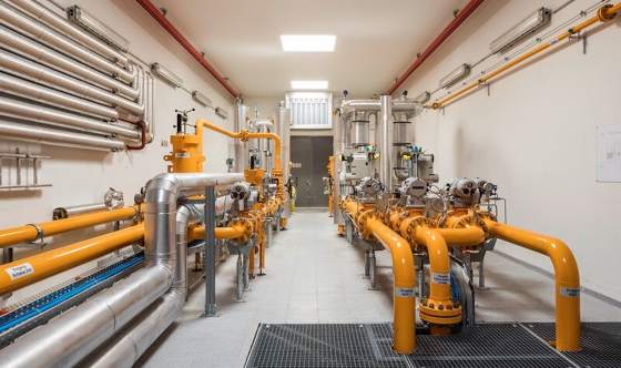 sgsw: Gaspreise sinken 2026, Biogasanteil steigt